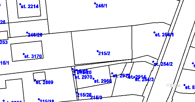 Parcela st. 215/2 v KÚ Vodňany, Katastrální mapa