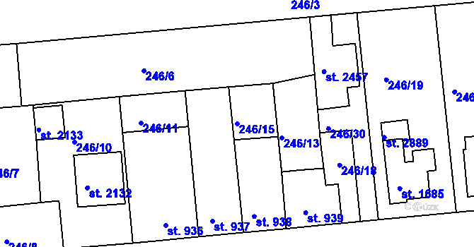 Parcela st. 246/15 v KÚ Vodňany, Katastrální mapa