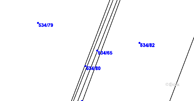 Parcela st. 534/65 v KÚ Vodňany, Katastrální mapa
