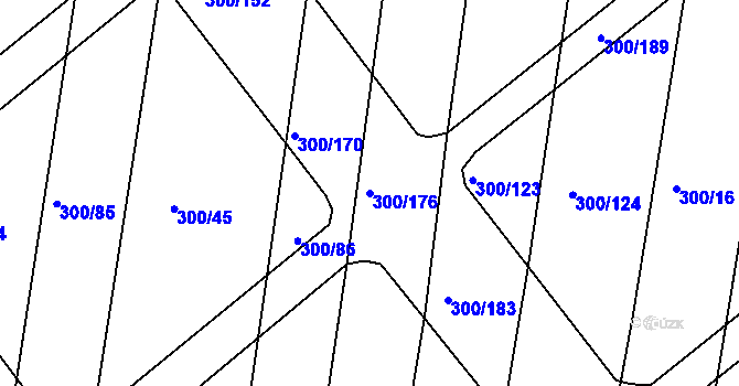 Parcela st. 300/176 v KÚ Vodňany, Katastrální mapa