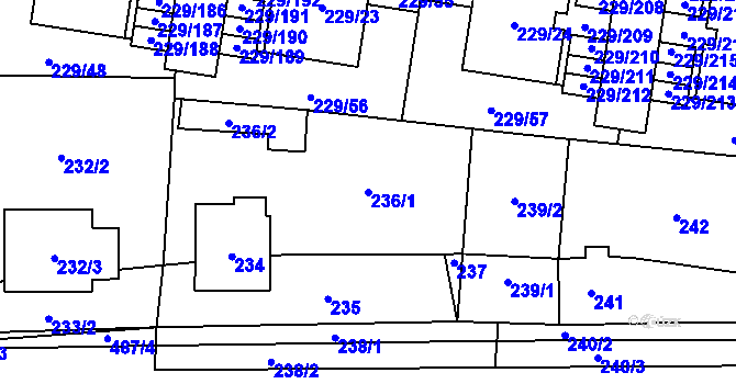 Parcela st. 236/1 v KÚ Vochov, Katastrální mapa