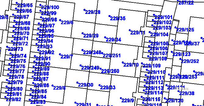 Parcela st. 229/251 v KÚ Vochov, Katastrální mapa