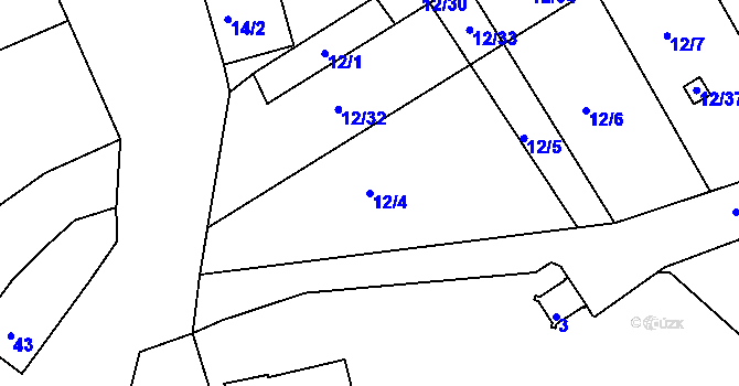 Parcela st. 12/4 v KÚ Vojkovice u Židlochovic, Katastrální mapa