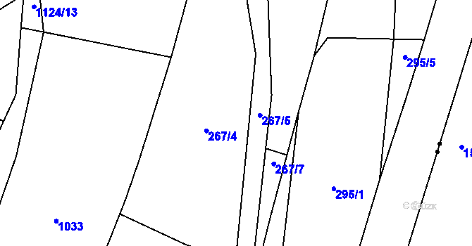 Parcela st. 267 v KÚ Debrné, Katastrální mapa