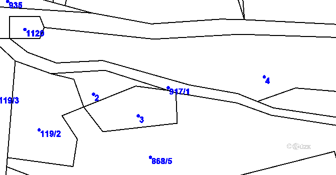 Parcela st. 917/1 v KÚ Debrné, Katastrální mapa