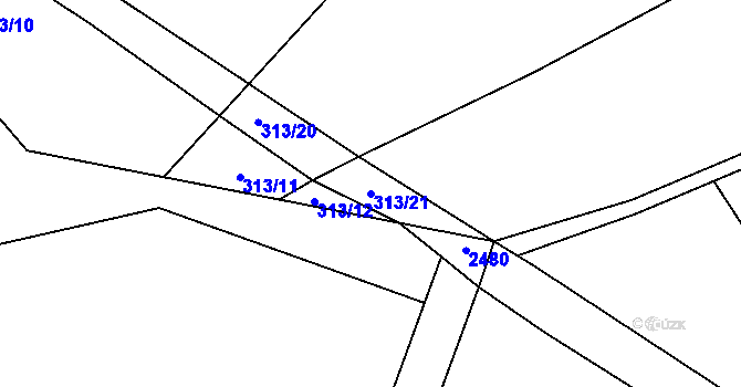 Parcela st. 313/21 v KÚ Volfířov, Katastrální mapa