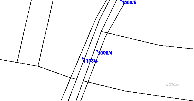 Parcela st. 1000/4 v KÚ Těchařovice, Katastrální mapa