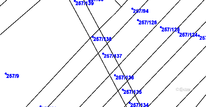 Parcela st. 257/137 v KÚ Vranová, Katastrální mapa