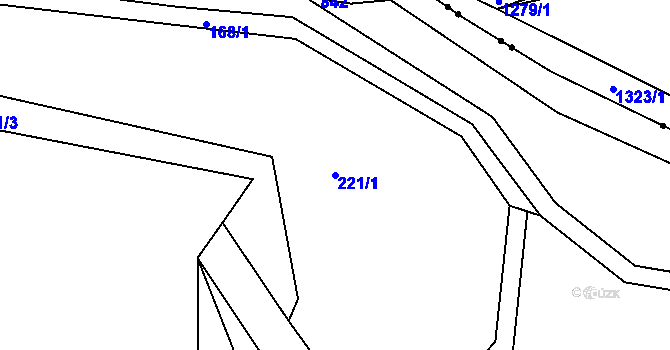 Parcela st. 221/1 v KÚ Vranová Lhota, Katastrální mapa