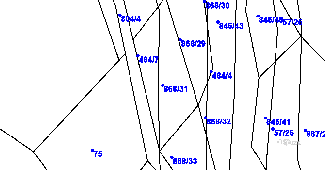 Parcela st. 868/31 v KÚ Vranová Lhota, Katastrální mapa