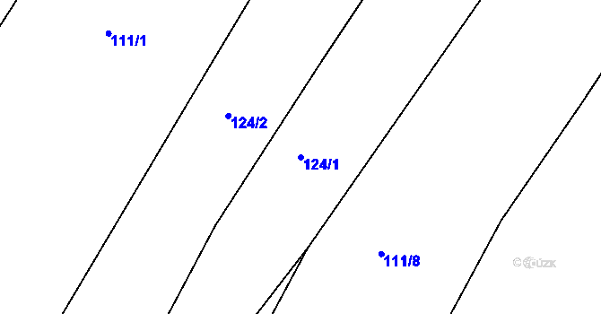 Parcela st. 124/1 v KÚ Vratislávka, Katastrální mapa