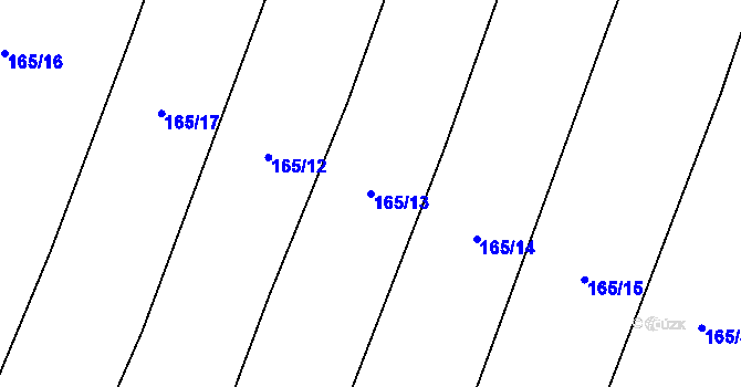 Parcela st. 165/13 v KÚ Vrbice nad Cidlinou, Katastrální mapa