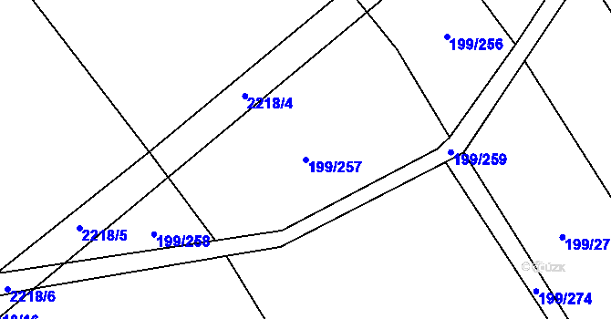 Parcela st. 199/257 v KÚ Vrbice u Velkých Pavlovic, Katastrální mapa