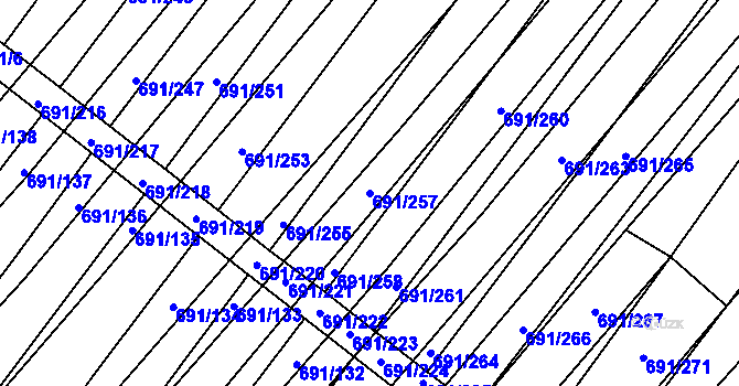 Parcela st. 691/257 v KÚ Vrbice u Velkých Pavlovic, Katastrální mapa