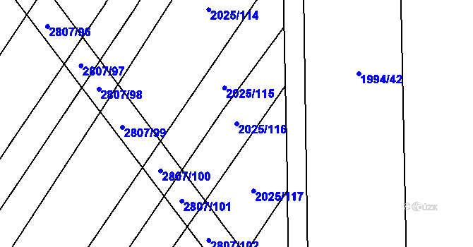 Parcela st. 2025/116 v KÚ Vrbice u Velkých Pavlovic, Katastrální mapa