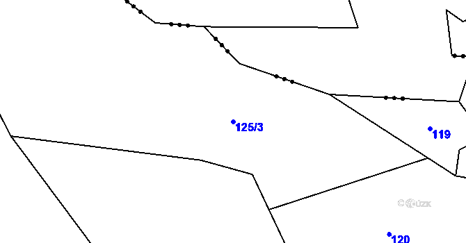 Parcela st. 125/3 v KÚ Sychrov u Ledče nad Sázavou, Katastrální mapa