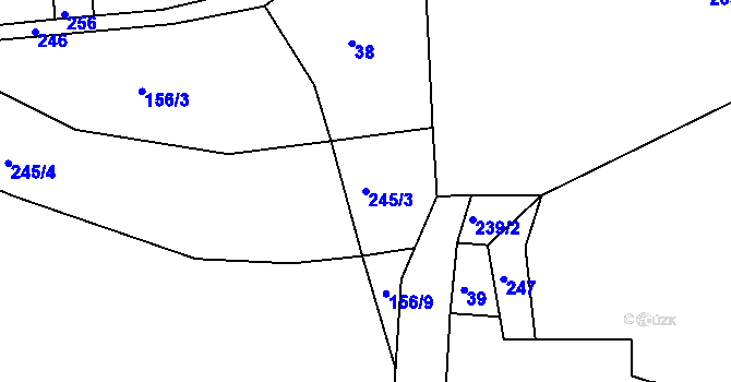 Parcela st. 245/3 v KÚ Sychrov u Ledče nad Sázavou, Katastrální mapa