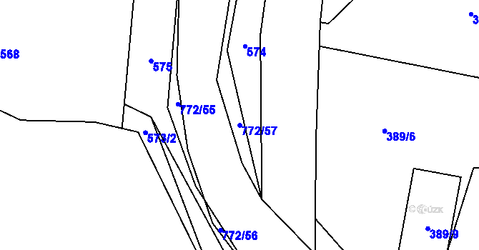 Parcela st. 772/57 v KÚ Ludvíkov pod Pradědem, Katastrální mapa