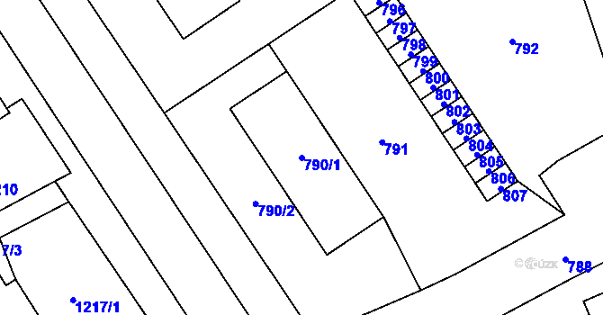 Parcela st. 790/1 v KÚ Vrbno pod Pradědem, Katastrální mapa