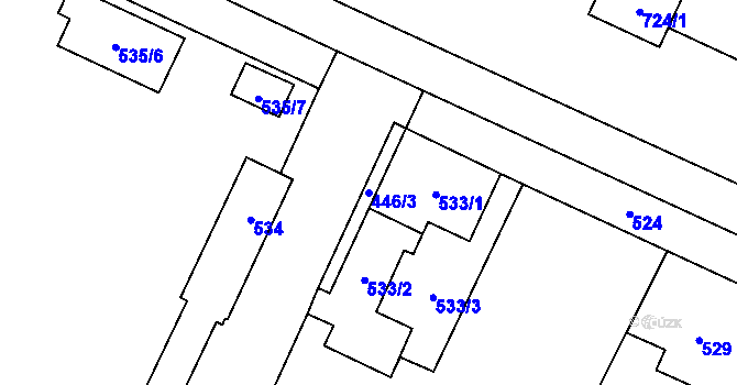 Parcela st. 446/3 v KÚ Vrbno pod Pradědem, Katastrální mapa