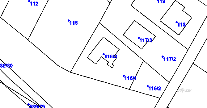 Parcela st. 116/3 v KÚ Železná pod Pradědem, Katastrální mapa