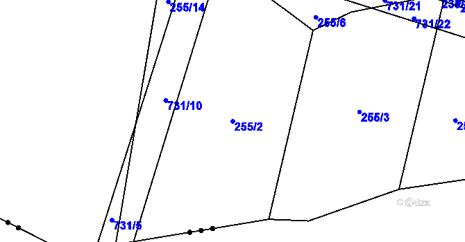 Parcela st. 255/2 v KÚ Tojice, Katastrální mapa