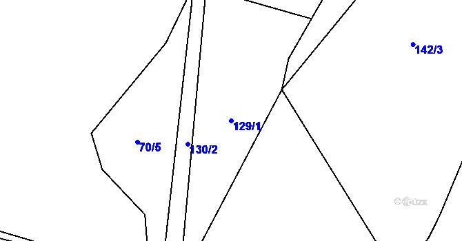 Parcela st. 129/1 v KÚ Tojice, Katastrální mapa