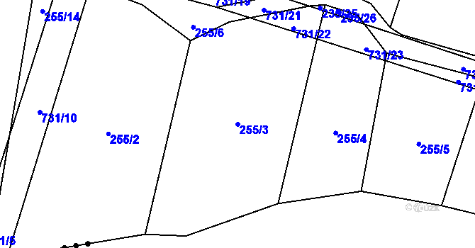 Parcela st. 255/3 v KÚ Tojice, Katastrální mapa