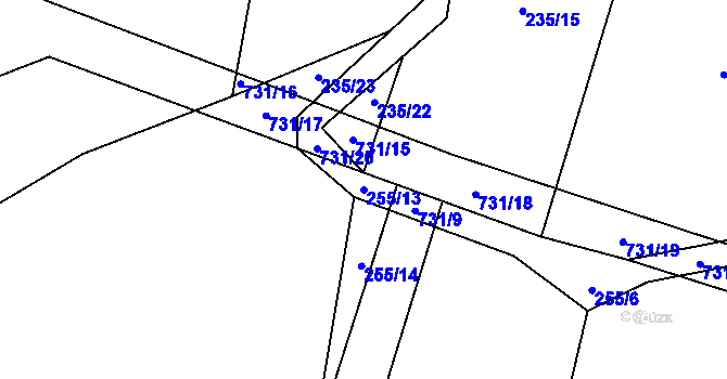 Parcela st. 255/13 v KÚ Tojice, Katastrální mapa