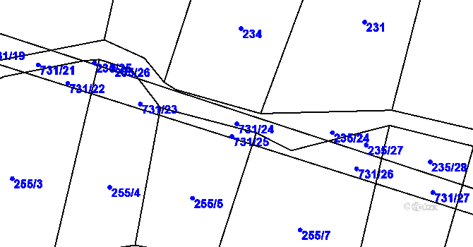 Parcela st. 731/24 v KÚ Tojice, Katastrální mapa