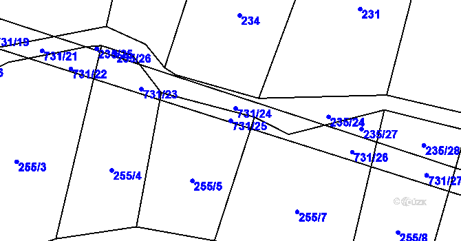 Parcela st. 731/25 v KÚ Tojice, Katastrální mapa