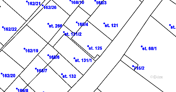 Parcela st. 125 v KÚ Vrdy, Katastrální mapa