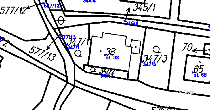 Parcela st. 38 v KÚ Radinovy, Katastrální mapa