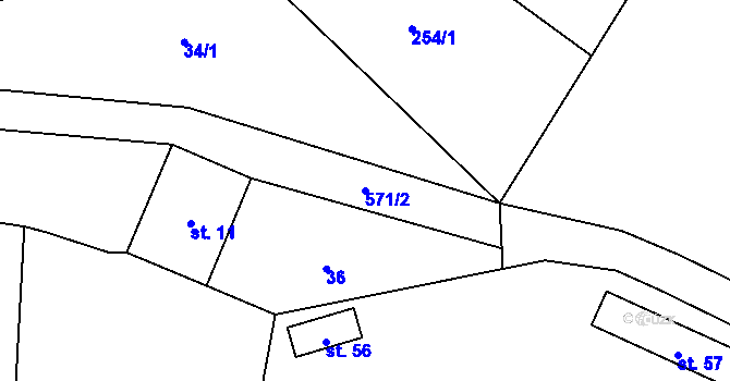 Parcela st. 571/2 v KÚ Radinovy, Katastrální mapa