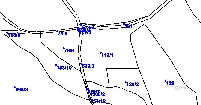 Parcela st. 113/1 v KÚ Rudoltice u Vrchotových Janovic, Katastrální mapa