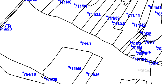 Parcela st. 711/1 v KÚ Jasenka, Katastrální mapa