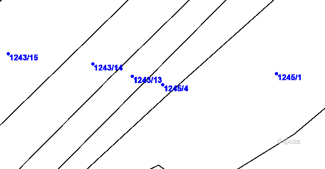 Parcela st. 1245/4 v KÚ Jasenka, Katastrální mapa