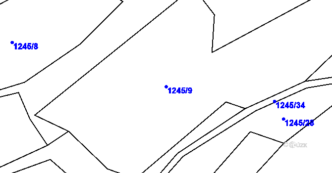 Parcela st. 1245/9 v KÚ Jasenka, Katastrální mapa