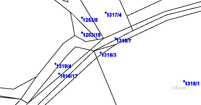 Parcela st. 1318/3 v KÚ Jasenka, Katastrální mapa