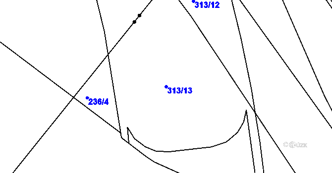 Parcela st. 313/13 v KÚ Bříza u Všestar, Katastrální mapa
