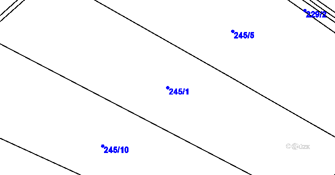 Parcela st. 245/1 v KÚ Rosnice u Všestar, Katastrální mapa