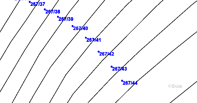 Parcela st. 267/42 v KÚ Výkleky, Katastrální mapa
