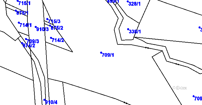 Parcela st. 709/1 v KÚ Zalužany u Vyklic, Katastrální mapa