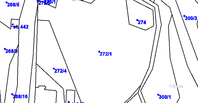 Parcela st. 272/1 v KÚ Výprachtice, Katastrální mapa