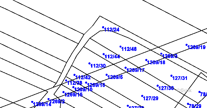 Parcela st. 112/44 v KÚ Výrovice, Katastrální mapa