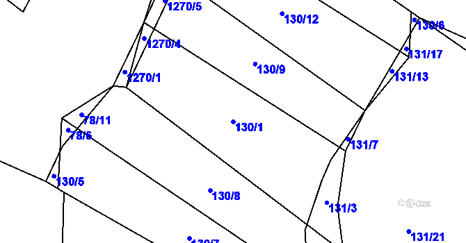 Parcela st. 130/1 v KÚ Výrovice, Katastrální mapa