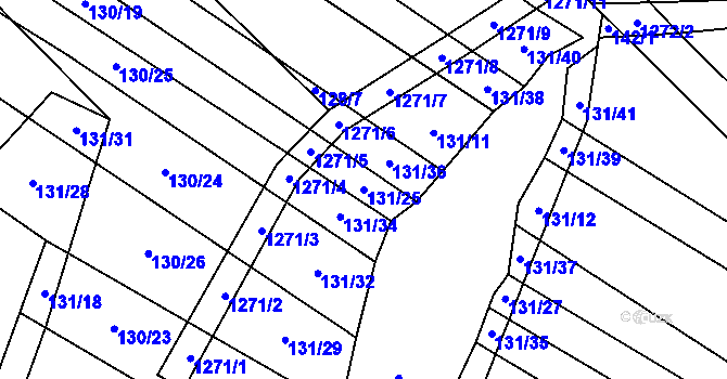 Parcela st. 131/25 v KÚ Výrovice, Katastrální mapa