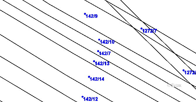 Parcela st. 142/7 v KÚ Výrovice, Katastrální mapa
