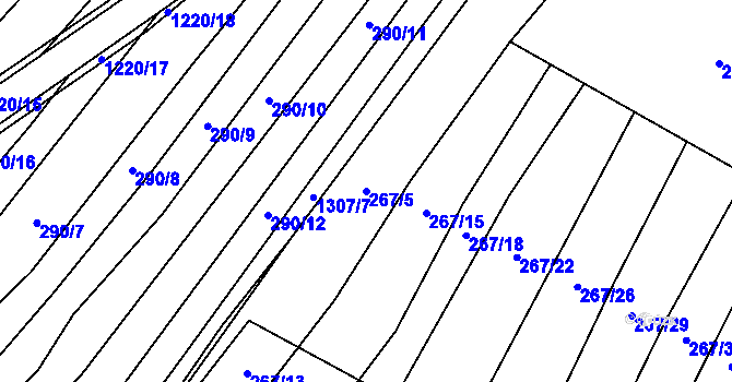 Parcela st. 267/5 v KÚ Výrovice, Katastrální mapa