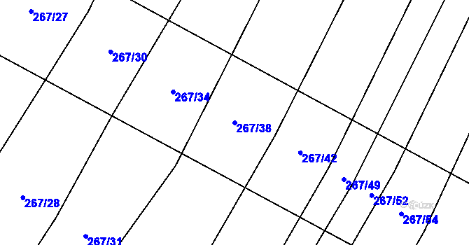 Parcela st. 267/38 v KÚ Výrovice, Katastrální mapa